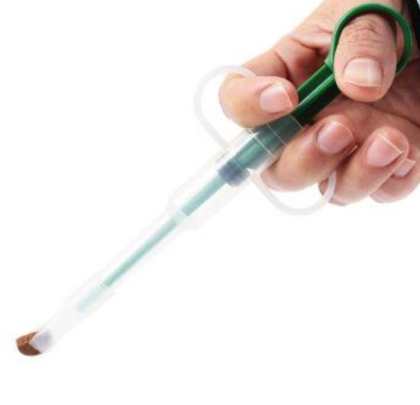 宠物内驱虫的正确方法（宠物驱虫你必须知道的那些事儿）(2)