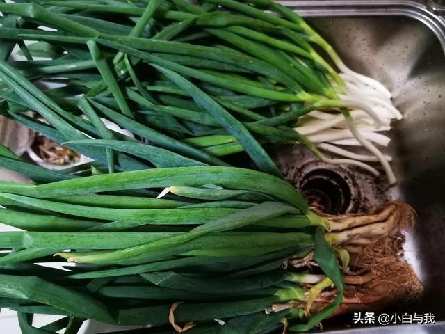 平谷桃花海一日游攻略 不能错过4月的北京平谷(23)