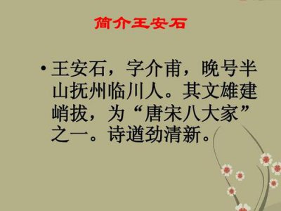 ​关于王安石的资料