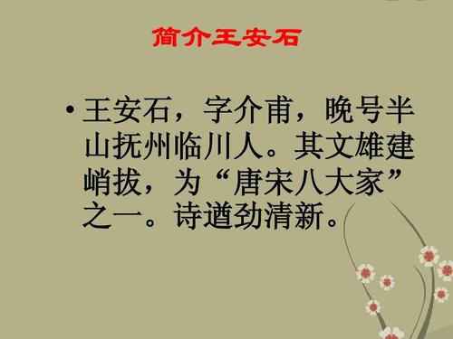 关于王安石的资料