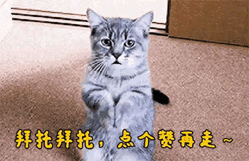 家门难进无容身之处（家经难念家贼难防）(8)