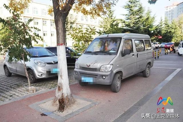 闯红灯的危害很严重（乱闯红灯危害大）(2)
