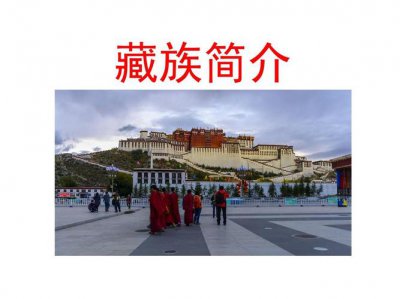 ​关于藏族的资料（藏族简介及习俗）