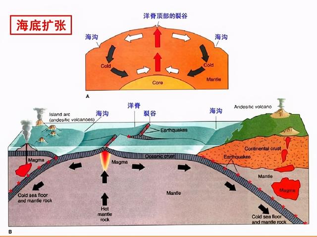 大陆漂移和板块构造（陆地板块漂移假说）(8)