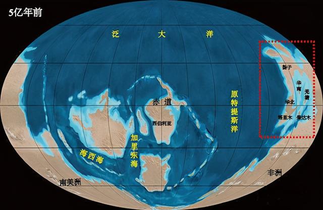 大陆漂移和板块构造（陆地板块漂移假说）(7)