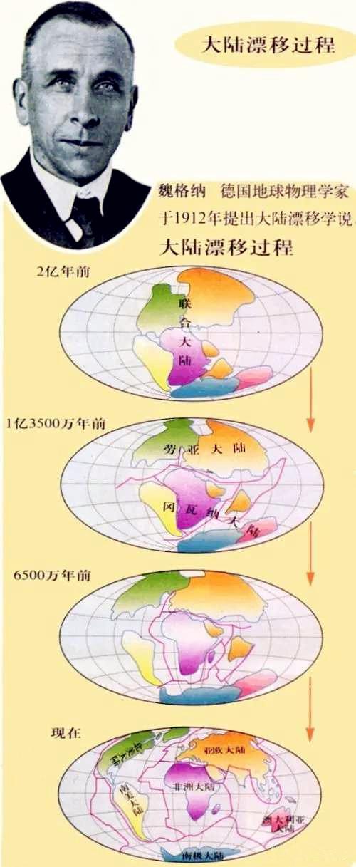 大陆漂移和板块构造（陆地板块漂移假说）(6)