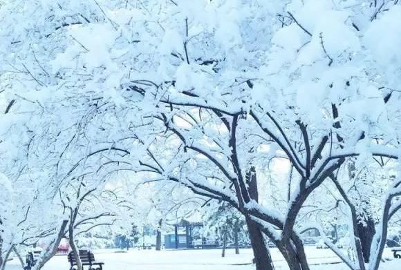 阳春白雪，下里巴人这句话的出处和含义是什么