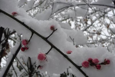 ​阳春白雪和下里巴人最初指的是什么，我们常用“阳春白雪，下里巴人”来指代高