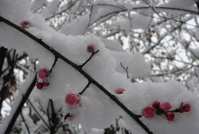 我们常用“阳春白雪，下里巴人”来指代高雅的文艺作品，这两个成语最初指什么