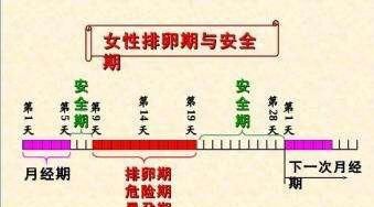安全教育日是3月份最后一个星期几，国家安全教育率是每年的什么时候？图3
