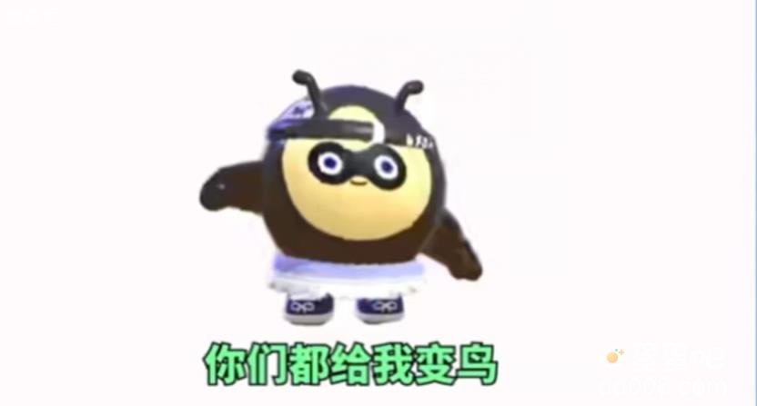 网络图片(侵删)