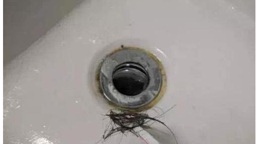 下水道的老鼠怎样去除,下水道有老鼠怎么办?图2