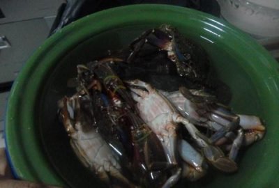 ​螃蟹煮多久最佳时间冷水下锅,螃蟹水烧开后煮几分钟