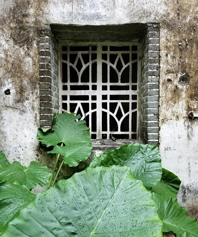 4寸照片尺寸多少厘米，为什么现在有些手机拍的照片，都单张10m大小了，放大后却还是不清晰呢？图1