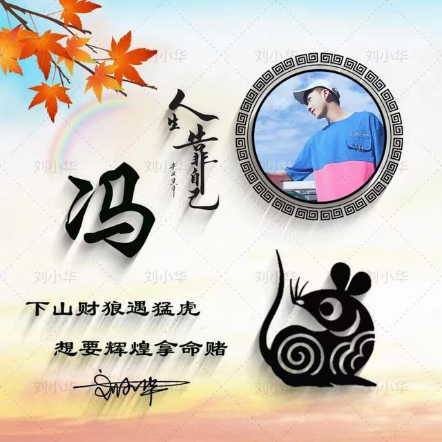 牛年最适合的微信头像（2022你的微信头像该换了）(3)