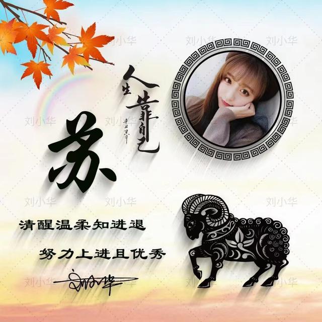 牛年最适合的微信头像（2022你的微信头像该换了）(39)