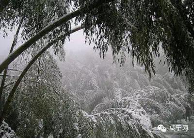 咸宁旅游攻略必玩的景点推荐一下（吐血收集咸宁最全景点旅游）(6)