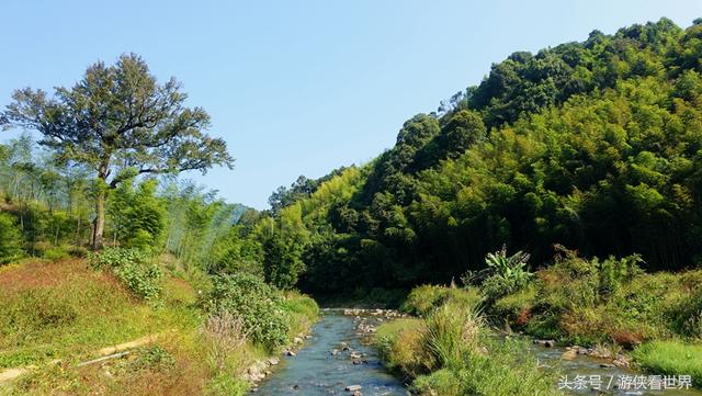 广州溪头村一日游攻略（广东最美乡村从化溪头村）(21)