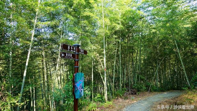 广州溪头村一日游攻略（广东最美乡村从化溪头村）(32)