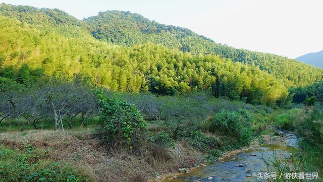 广州溪头村一日游攻略（广东最美乡村从化溪头村）(6)
