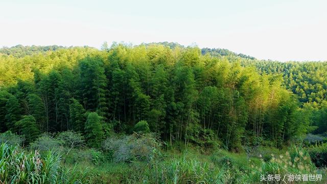 广州溪头村一日游攻略（广东最美乡村从化溪头村）(8)