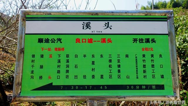 广州溪头村一日游攻略（广东最美乡村从化溪头村）(18)