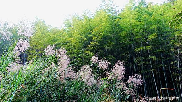 广州溪头村一日游攻略（广东最美乡村从化溪头村）(27)