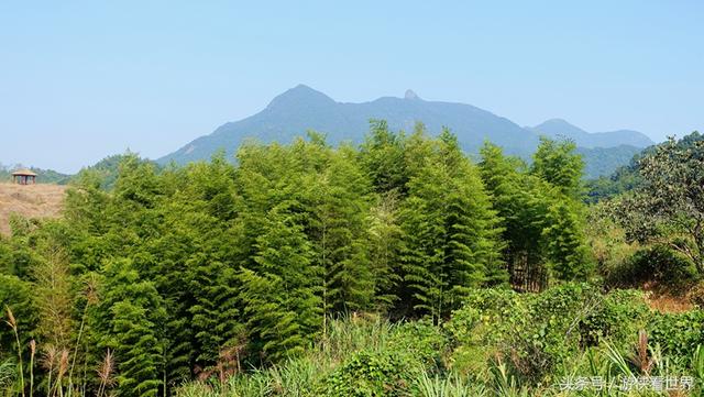 广州溪头村一日游攻略（广东最美乡村从化溪头村）(31)