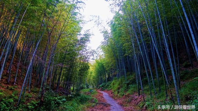广州溪头村一日游攻略（广东最美乡村从化溪头村）(26)