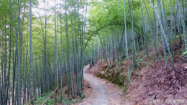 广州溪头村一日游攻略（广东最美乡村从化溪头村）(30)