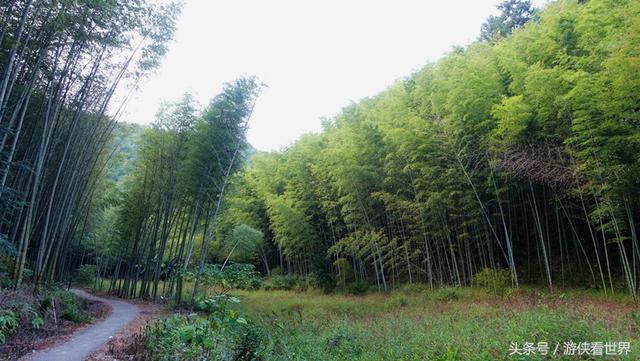 广州溪头村一日游攻略（广东最美乡村从化溪头村）(28)