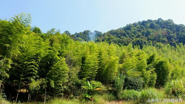 广州溪头村一日游攻略（广东最美乡村从化溪头村）(14)