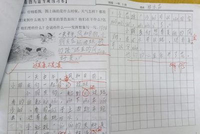 ​石头上怎么会有贝壳呢 二年级写话,石头上为什么有贝壳呢