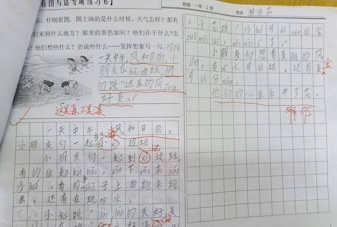石头上怎么会有贝壳呢二年级写话 二年级写话石头上怎么会有贝壳呢