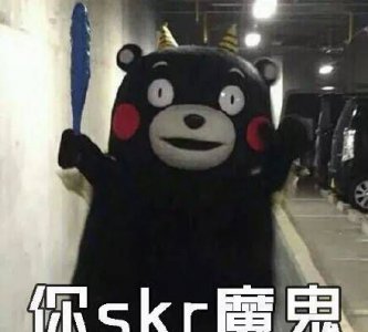 ​skr什么意思中文,skr是什么意思