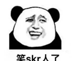 skr的中文是什么