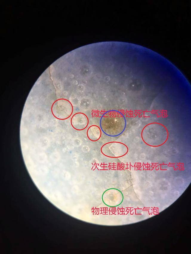 痕迹鉴定步骤（痕迹鉴定二）(9)