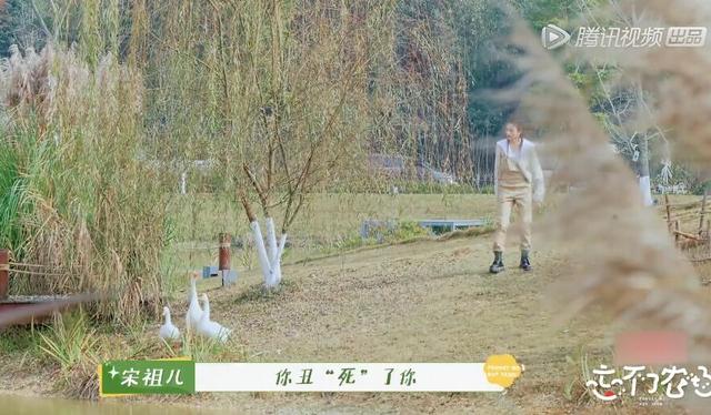 宋祖儿舒畅恩怨史（京圈小花宋祖儿）(18)