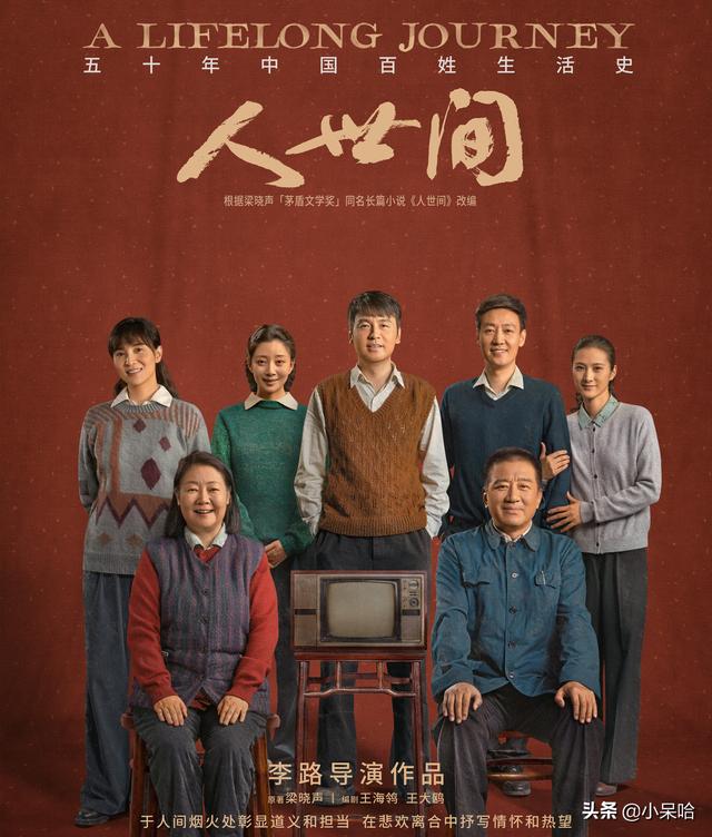 高分的历史剧推荐（10部高分年代剧人世间垫底）(9)