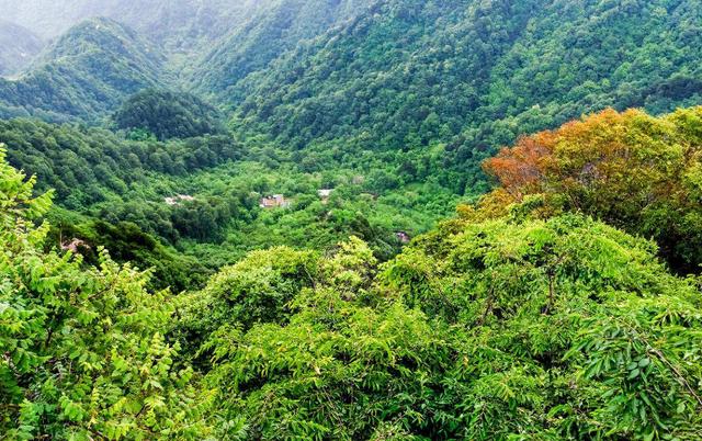 秦岭淮河分界线历史（地理分界线中华父亲山）(12)