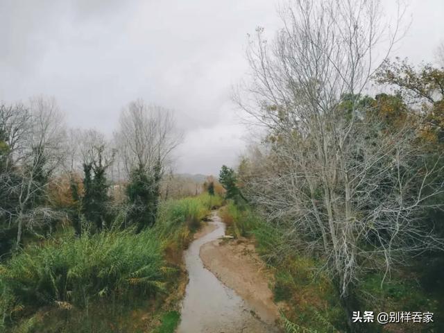 奥林匹克历史遗产（奥运起源之古奥林匹亚）(2)