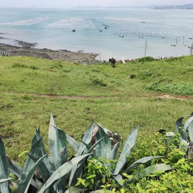 厦门周边游攻略必去景点（厦门周边游8处小众秘境）(21)