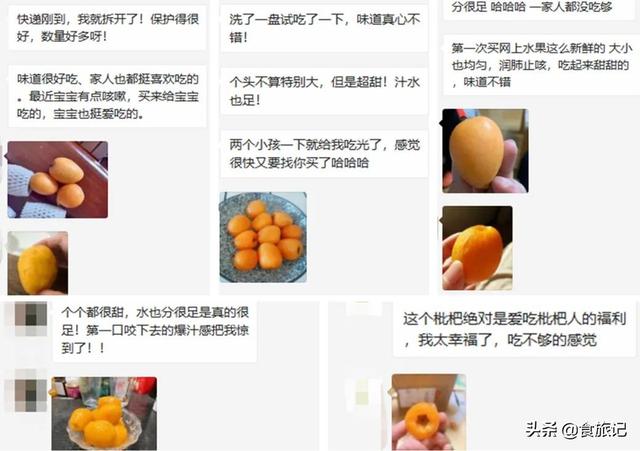 四川米易枇杷几月成熟（同样是大五星枇杷）(22)