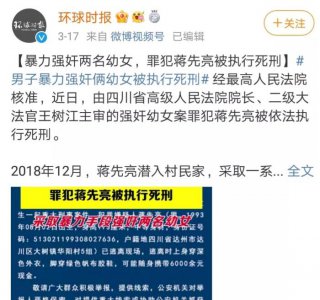 ​素媛真实原型怎么样（素媛案原型案件始末）