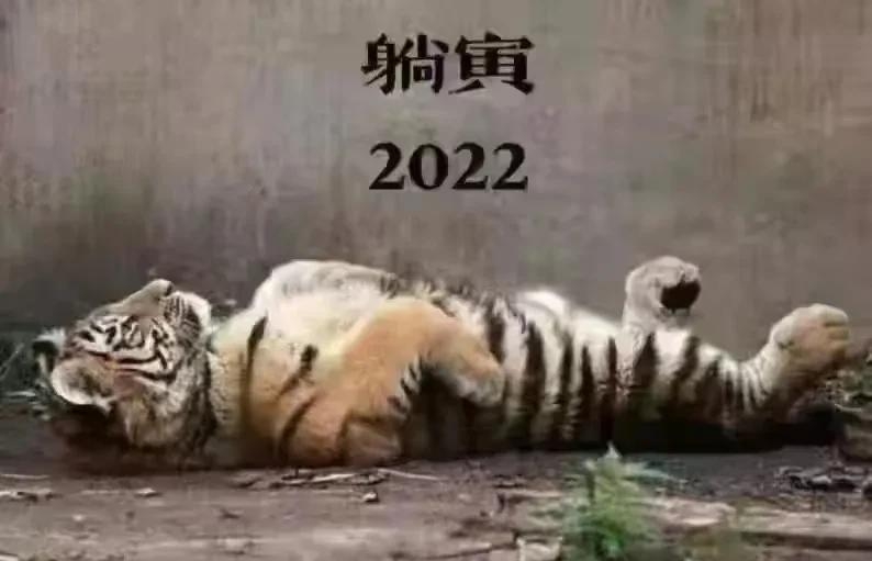 属羊的明星名人有哪些(属羊的女明星名人有哪些) 明星 名人 第13张