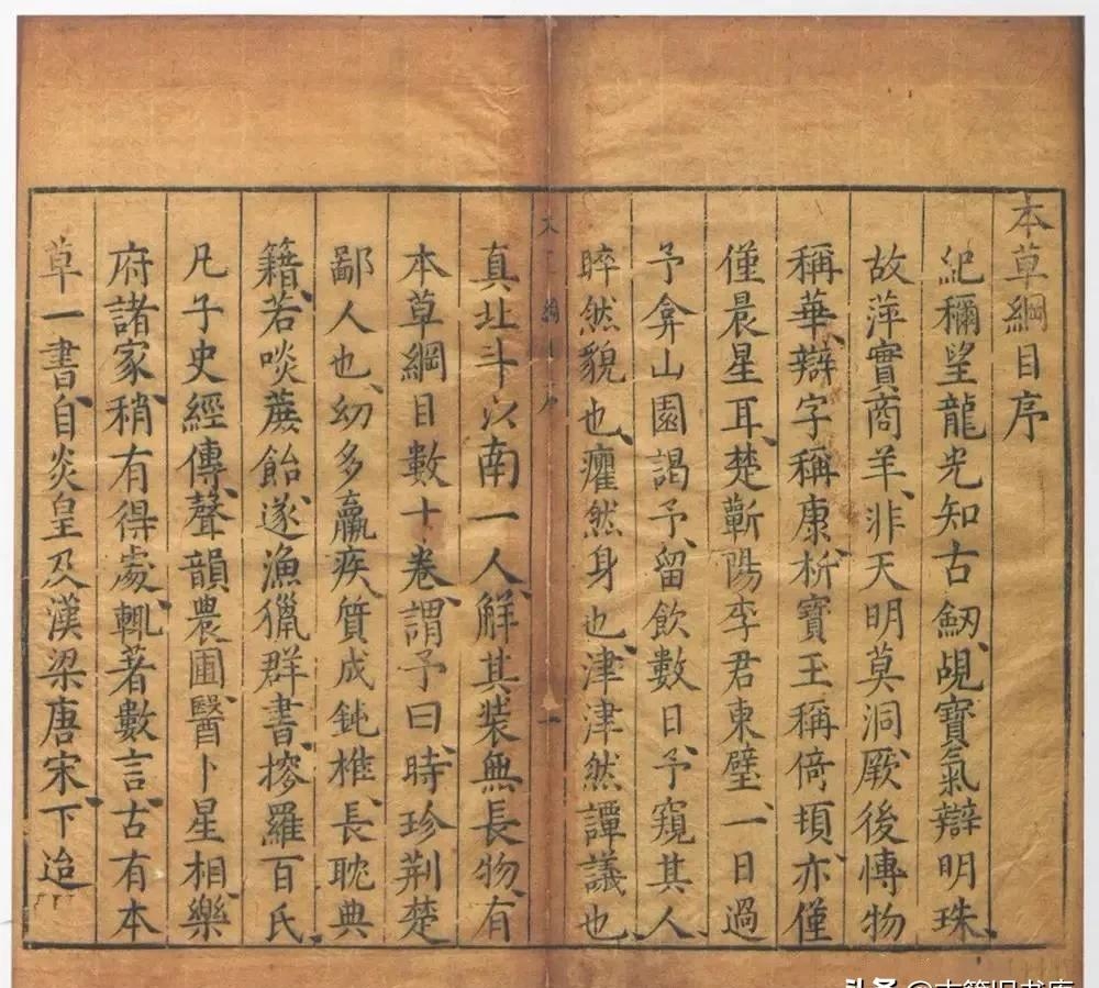 属羊的明星名人有哪些(属羊的女明星名人有哪些) 明星 名人 第10张