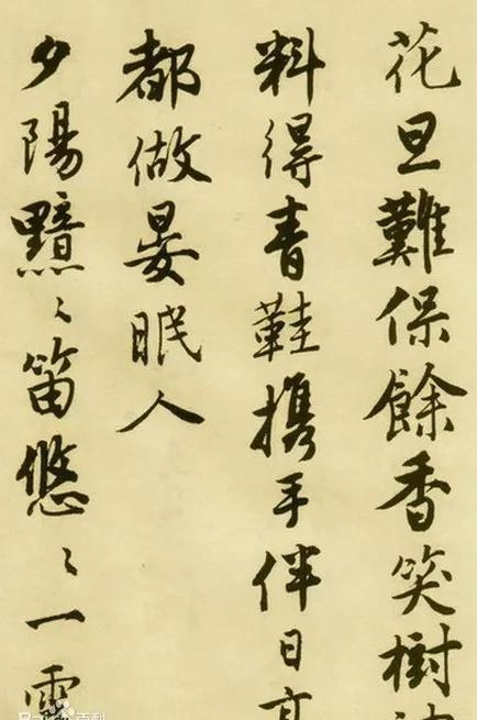 属羊的明星名人有哪些(属羊的女明星名人有哪些) 明星 名人 第5张