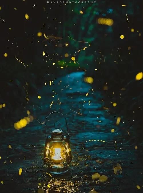 什么的天空，什么的森林什么的鲜花什么的草地什么的溪流什么的天空什么的湖水什么的明月什么的夜空？图5