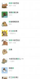 ​“情绪稳定”的水豚，成了社交平台新晋网红