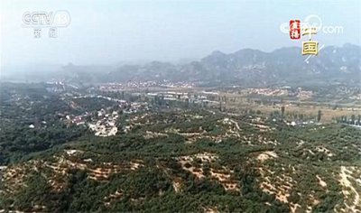 ​河北哪里的板栗最快上市（板栗成熟好时节）